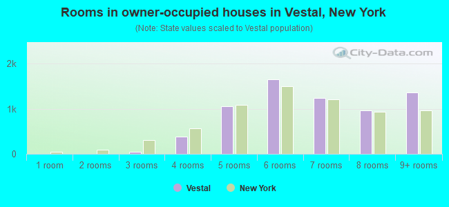 Rooms in owner-occupied houses in Vestal, New York