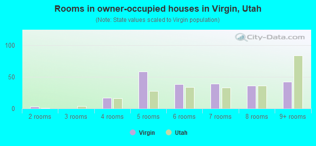 Rooms in owner-occupied houses in Virgin, Utah