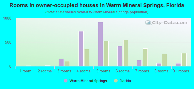 Rooms in owner-occupied houses in Warm Mineral Springs, Florida