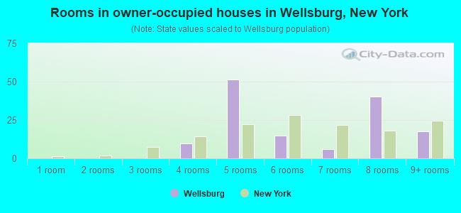 Rooms in owner-occupied houses in Wellsburg, New York