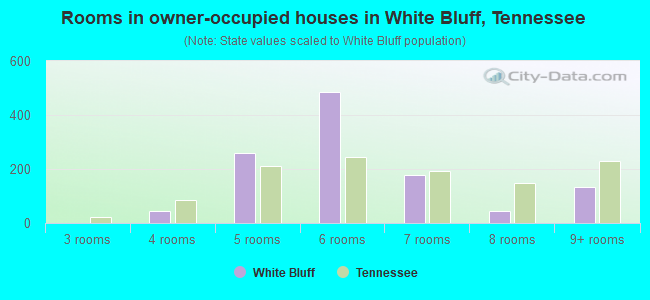 Rooms in owner-occupied houses in White Bluff, Tennessee