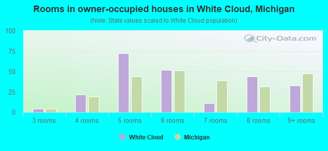 Rooms in owner-occupied houses in White Cloud, Michigan
