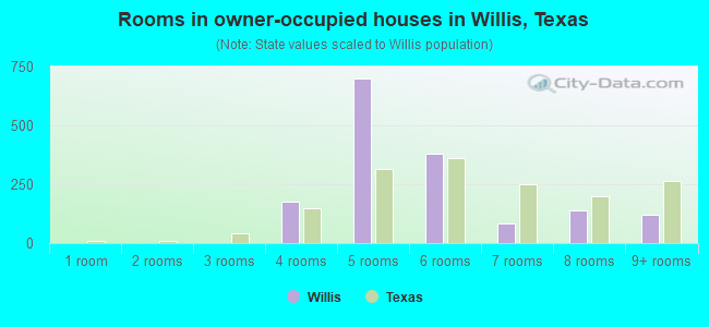 Rooms in owner-occupied houses in Willis, Texas