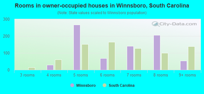 Rooms in owner-occupied houses in Winnsboro, South Carolina