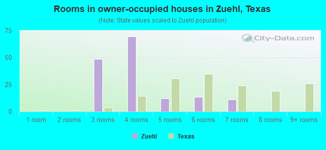 Rooms in owner-occupied houses in Zuehl, Texas