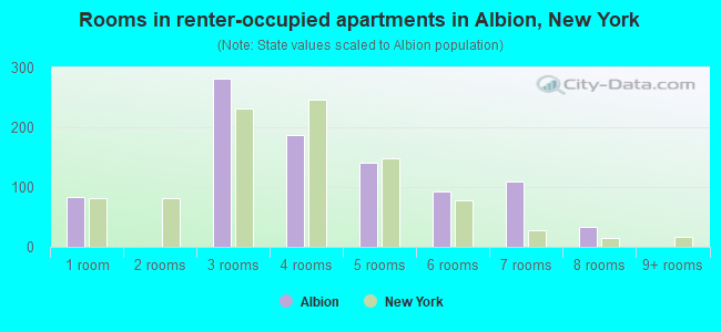 Rooms in renter-occupied apartments in Albion, New York