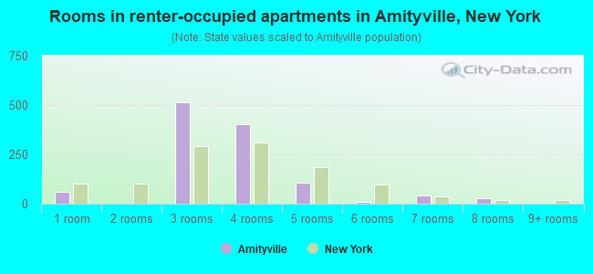 Rooms in renter-occupied apartments in Amityville, New York