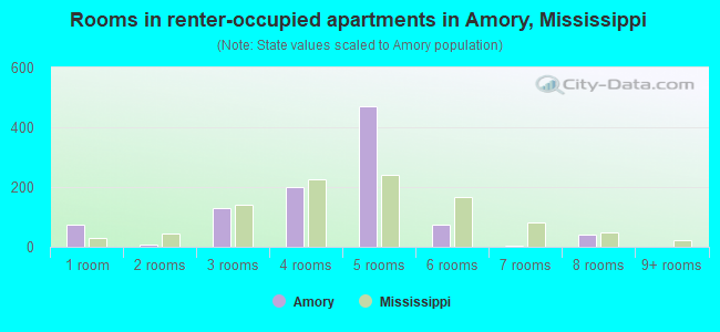 Rooms in renter-occupied apartments in Amory, Mississippi