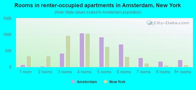 Rooms in renter-occupied apartments in Amsterdam, New York