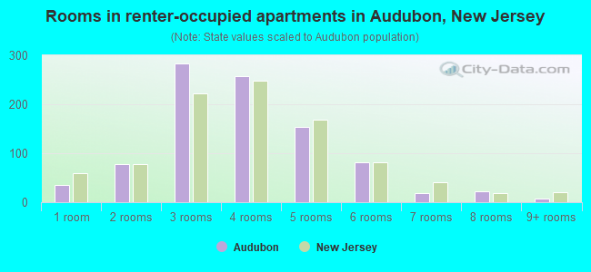 Rooms in renter-occupied apartments in Audubon, New Jersey