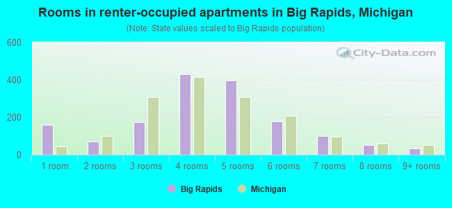 Rooms in renter-occupied apartments in Big Rapids, Michigan