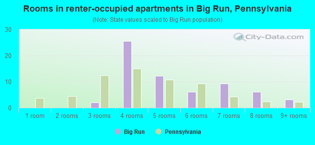 Rooms in renter-occupied apartments in Big Run, Pennsylvania