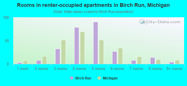 Rooms in renter-occupied apartments in Birch Run, Michigan