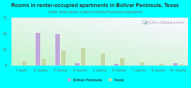 Rooms in renter-occupied apartments in Bolivar Peninsula, Texas
