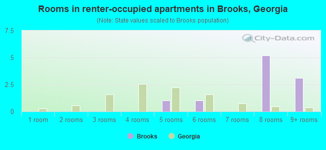 Rooms in renter-occupied apartments in Brooks, Georgia