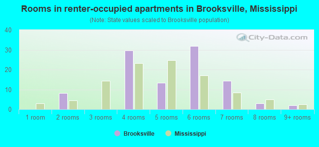Rooms in renter-occupied apartments in Brooksville, Mississippi