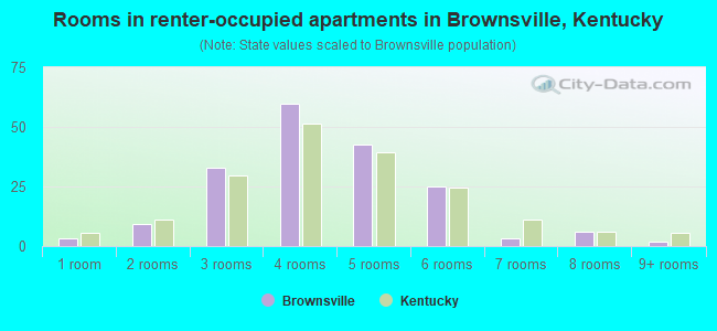 Rooms in renter-occupied apartments in Brownsville, Kentucky