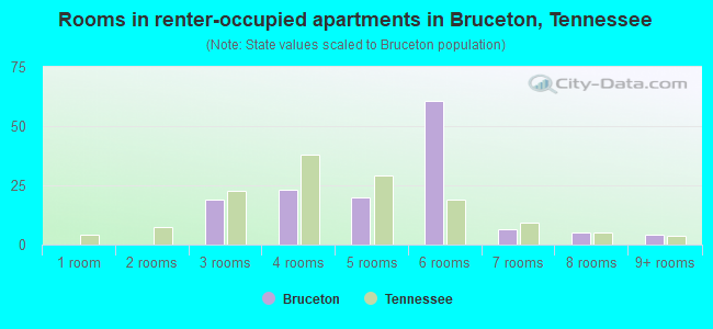 Rooms in renter-occupied apartments in Bruceton, Tennessee