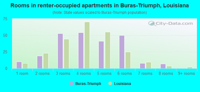 Rooms in renter-occupied apartments in Buras-Triumph, Louisiana