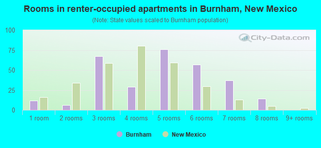 Rooms in renter-occupied apartments in Burnham, New Mexico