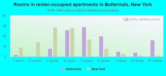 Rooms in renter-occupied apartments in Butternuts, New York
