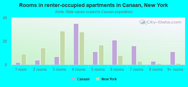 Rooms in renter-occupied apartments in Canaan, New York