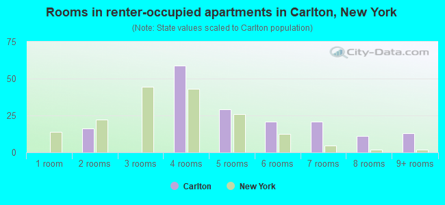 Rooms in renter-occupied apartments in Carlton, New York