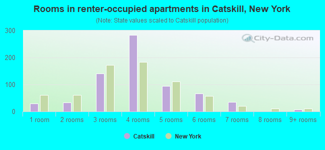 Rooms in renter-occupied apartments in Catskill, New York