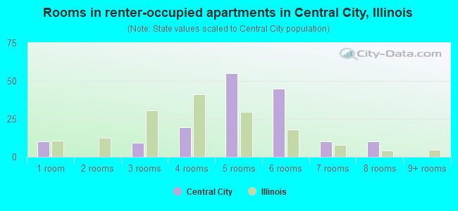 Rooms in renter-occupied apartments in Central City, Illinois