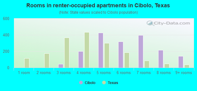 Rooms in renter-occupied apartments in Cibolo, Texas