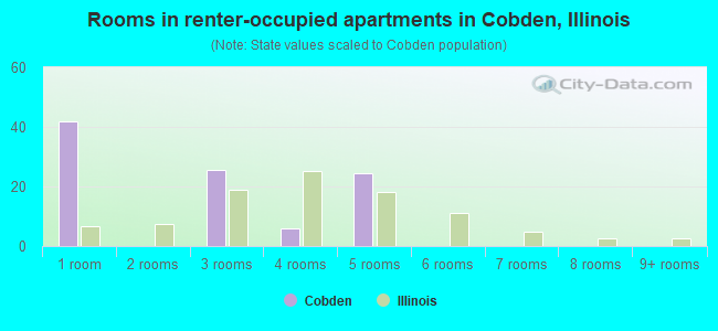 Rooms in renter-occupied apartments in Cobden, Illinois