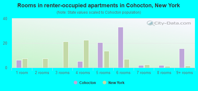 Rooms in renter-occupied apartments in Cohocton, New York