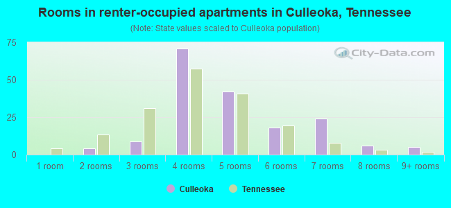 Rooms in renter-occupied apartments in Culleoka, Tennessee