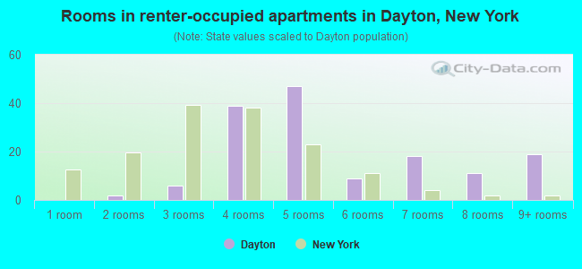 Rooms in renter-occupied apartments in Dayton, New York