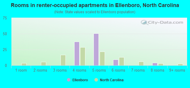 Rooms in renter-occupied apartments in Ellenboro, North Carolina
