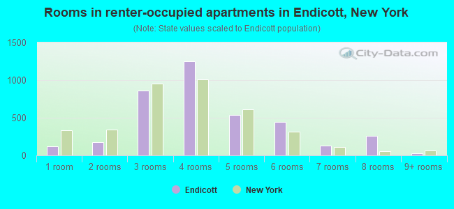 Rooms in renter-occupied apartments in Endicott, New York