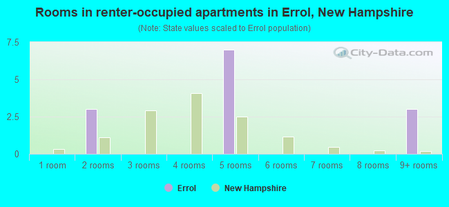 Rooms in renter-occupied apartments in Errol, New Hampshire