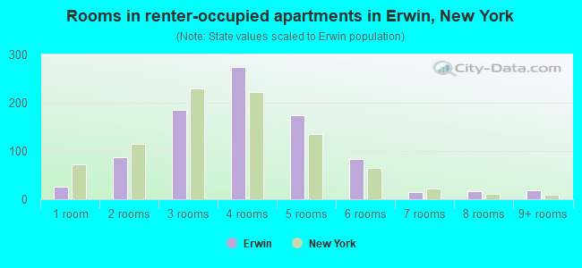 Rooms in renter-occupied apartments in Erwin, New York