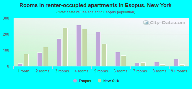 Rooms in renter-occupied apartments in Esopus, New York