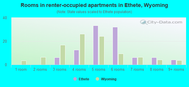 Rooms in renter-occupied apartments in Ethete, Wyoming