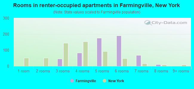 Rooms in renter-occupied apartments in Farmingville, New York