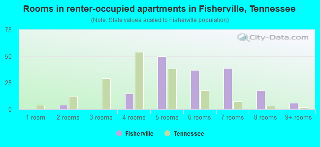 Rooms in renter-occupied apartments in Fisherville, Tennessee