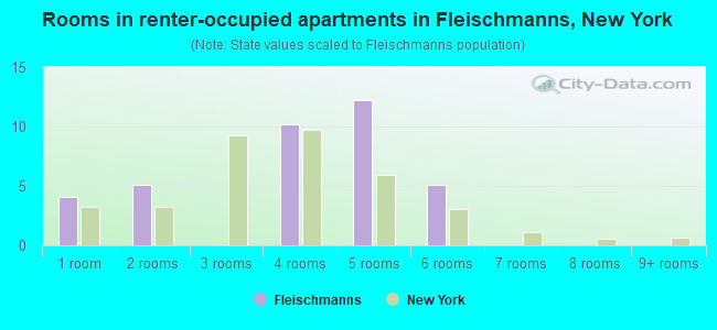Rooms in renter-occupied apartments in Fleischmanns, New York