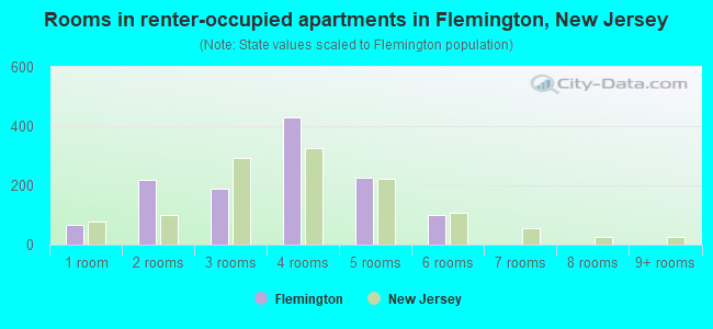 Rooms in renter-occupied apartments in Flemington, New Jersey