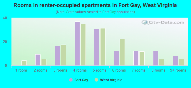 Rooms in renter-occupied apartments in Fort Gay, West Virginia