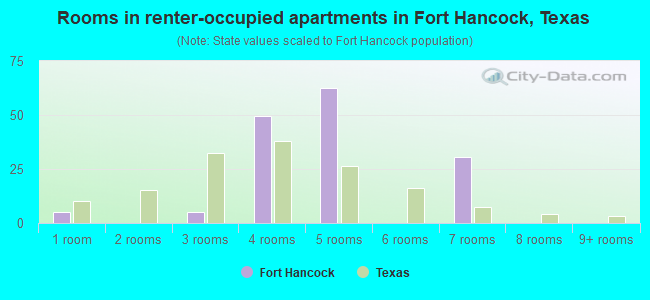 Rooms in renter-occupied apartments in Fort Hancock, Texas