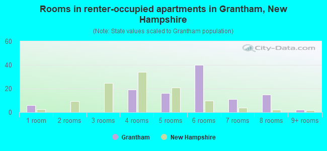 Rooms in renter-occupied apartments in Grantham, New Hampshire