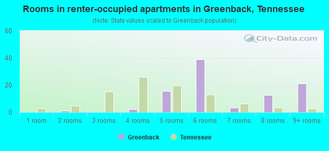 Rooms in renter-occupied apartments in Greenback, Tennessee
