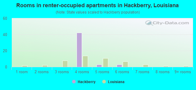 Rooms in renter-occupied apartments in Hackberry, Louisiana