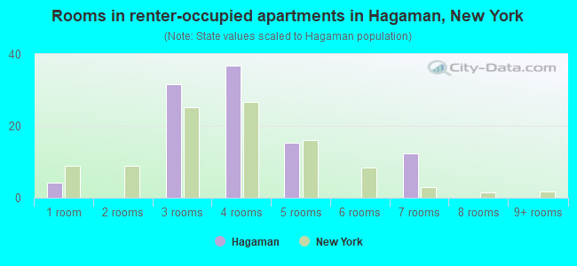 Rooms in renter-occupied apartments in Hagaman, New York